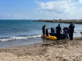Marine Mammal Rescue Course organised by the Department of the Environment