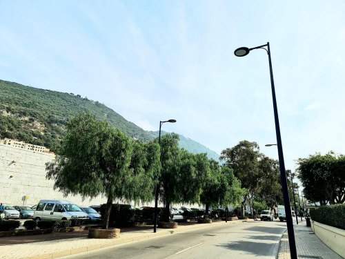 Environment want to destroy ten trees which beautify Queensway